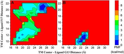 Elucidating the molecular determinants in the process of gastrin C-terminal pentapeptide amide end activating cholecystokinin 2 receptor by Gaussian accelerated molecular dynamics simulations